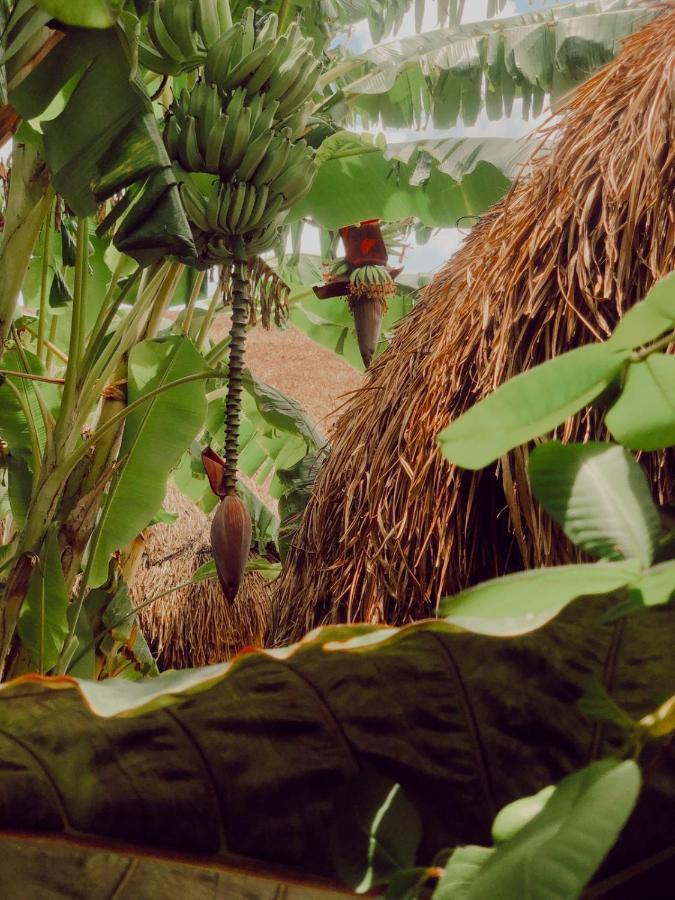 Aldea Che-Eek , Con Acceso A Un Club De Playa Privado Bacalar Exterior foto